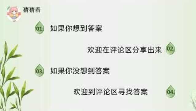 有趣的字谜题:打断念头,打一字,谜底就在谜面上,简单!