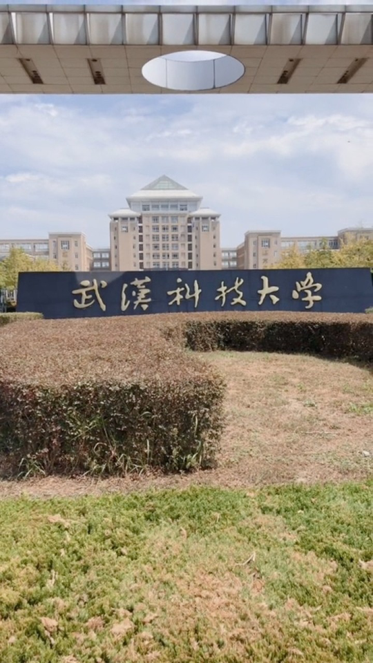 武汉科技大学黄家湖校区,校园正中心是恒大楼,恒大集团董事长许家印