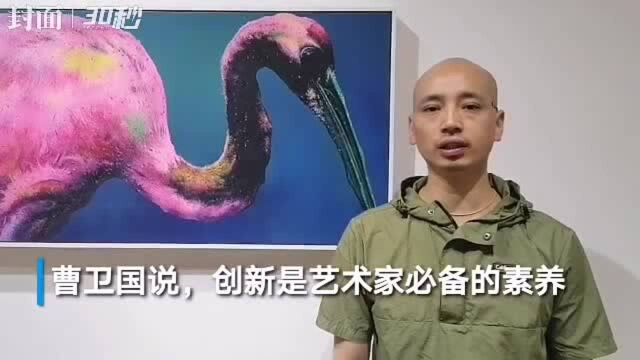 30秒丨一群五彩斑斓的鹤飞临成都,让这个展览看上去“仙气飘飘”