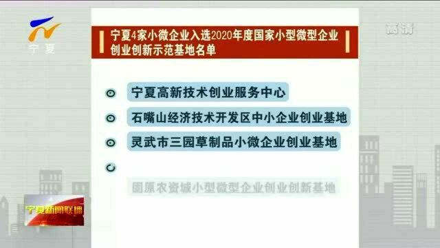 宁夏4家小微企业入选2020年度国家小型微型企业创业创新示范基地名单