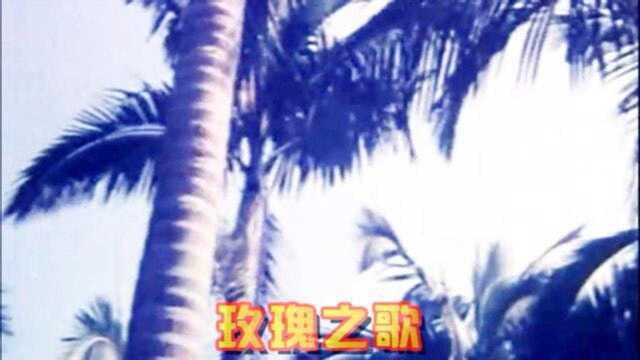 《玫瑰之歌》不该凋谢的玫瑰片头曲,朱逢博演唱,好听的抒情歌曲