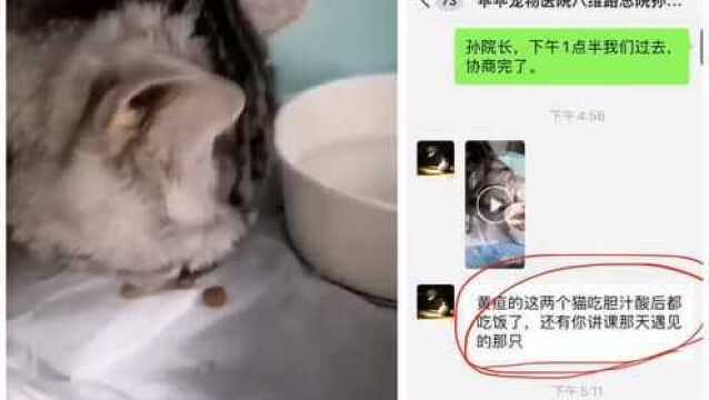 #健康大课堂#胆汁酸激活消化酶、乳化脂肪、促进肠道蠕动,帮助动物食欲恢复效果明显[强]