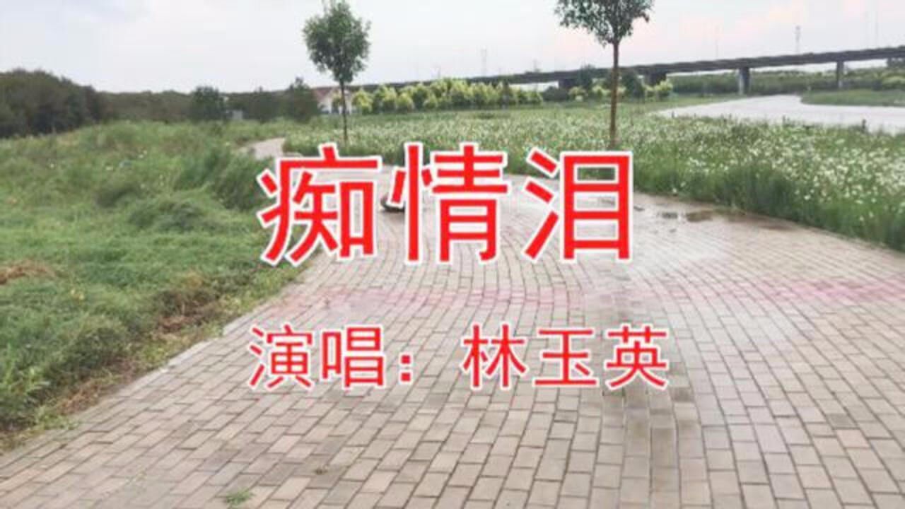 林玉英一首《痴情泪》深情好听,听的心碎