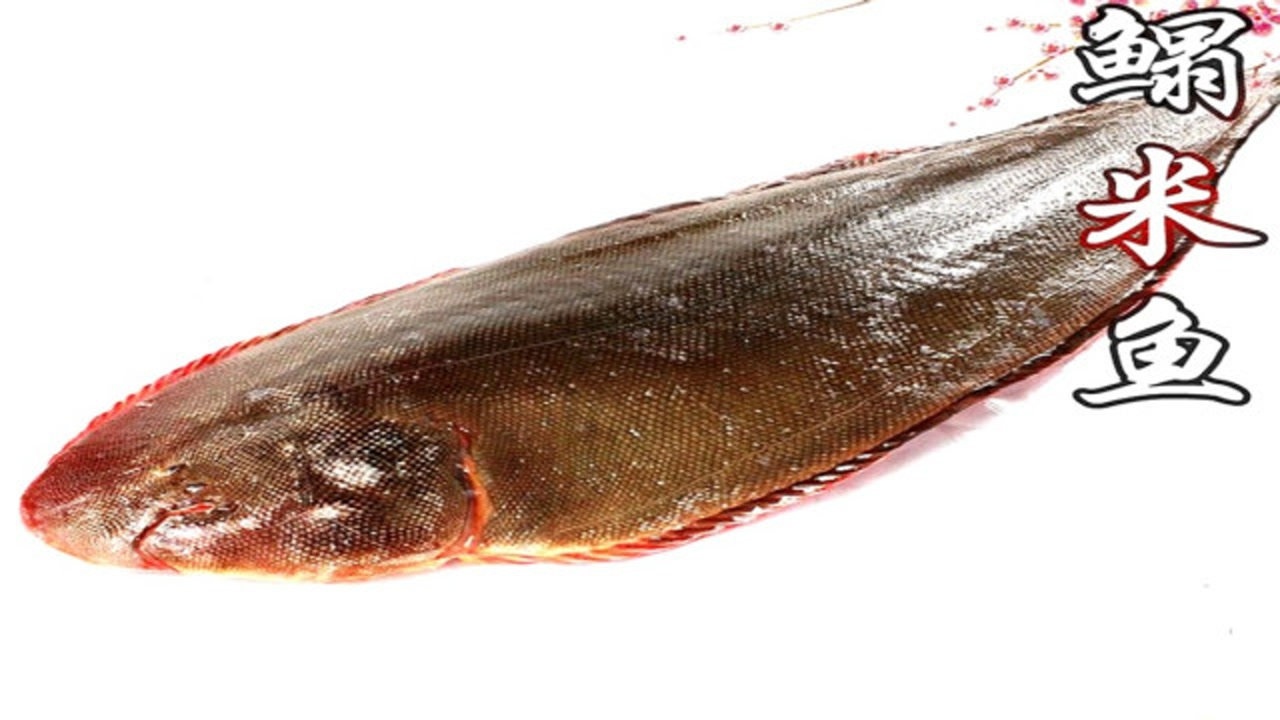 天津人叫"鳎目鱼",山东人叫"鳎米鱼",我红烧一条"舌头鱼"