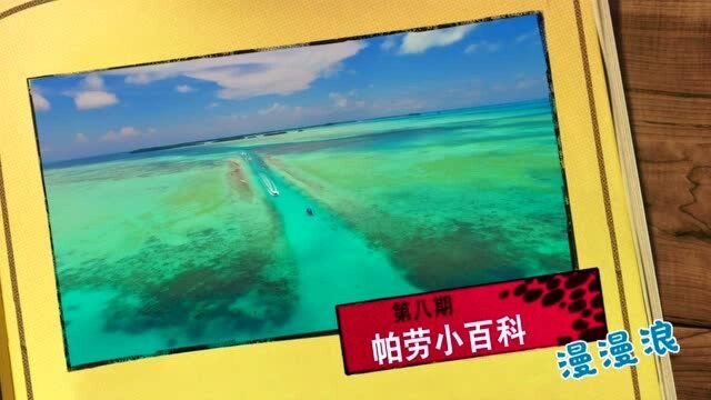 帕劳小百科《八》关于船只和免税店|来自漫漫浪帕劳旅游的介绍!