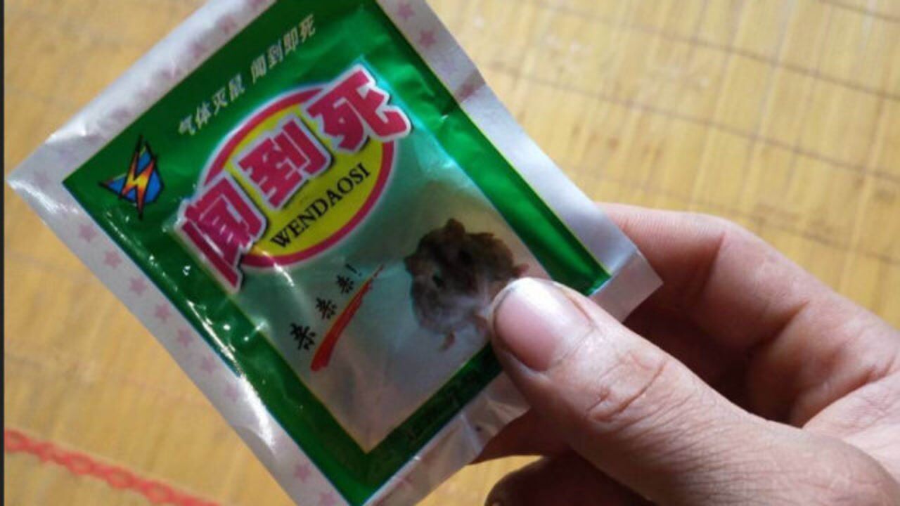 教你自制老鼠药,快速灭鼠的老鼠药,家中老鼠全部死光光_腾讯视频