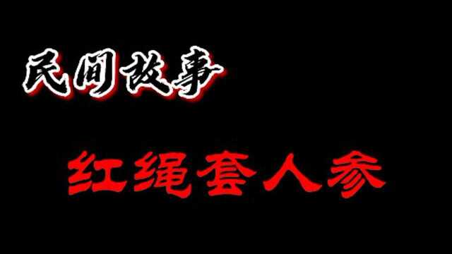 民间故事之红绳套人参