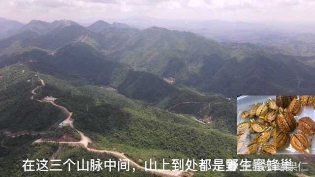 航拍广西长寿地区的十万大山,这里生存有大量野生石蛙,环境真不错