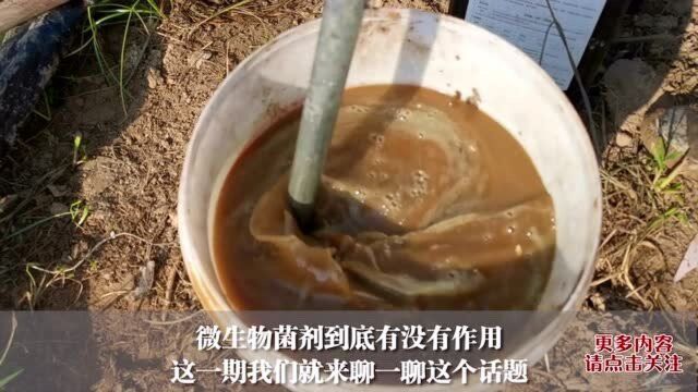 凡是包装袋上有这一行字的,都是好微生物菌,农民快学学