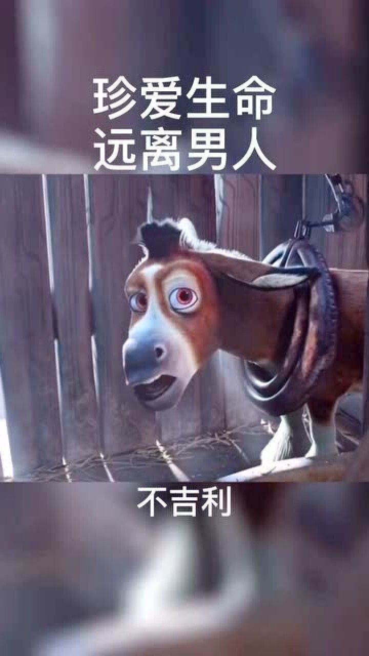 真爱生命远离男人吧离开男人啥都好了