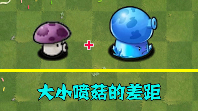 pvz:大喷菇和小喷菇,你觉得差距有多大?