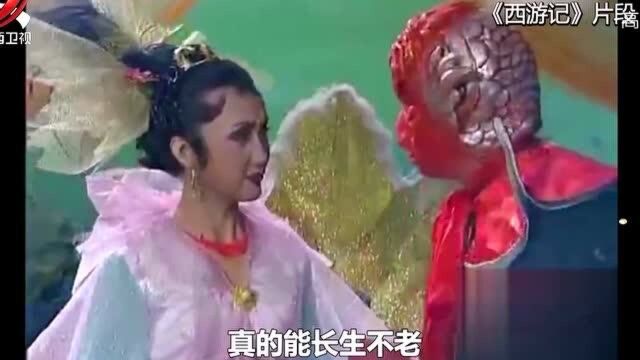 《西游记》中,鱼精为什么不知道吃唐僧肉能长生不老?