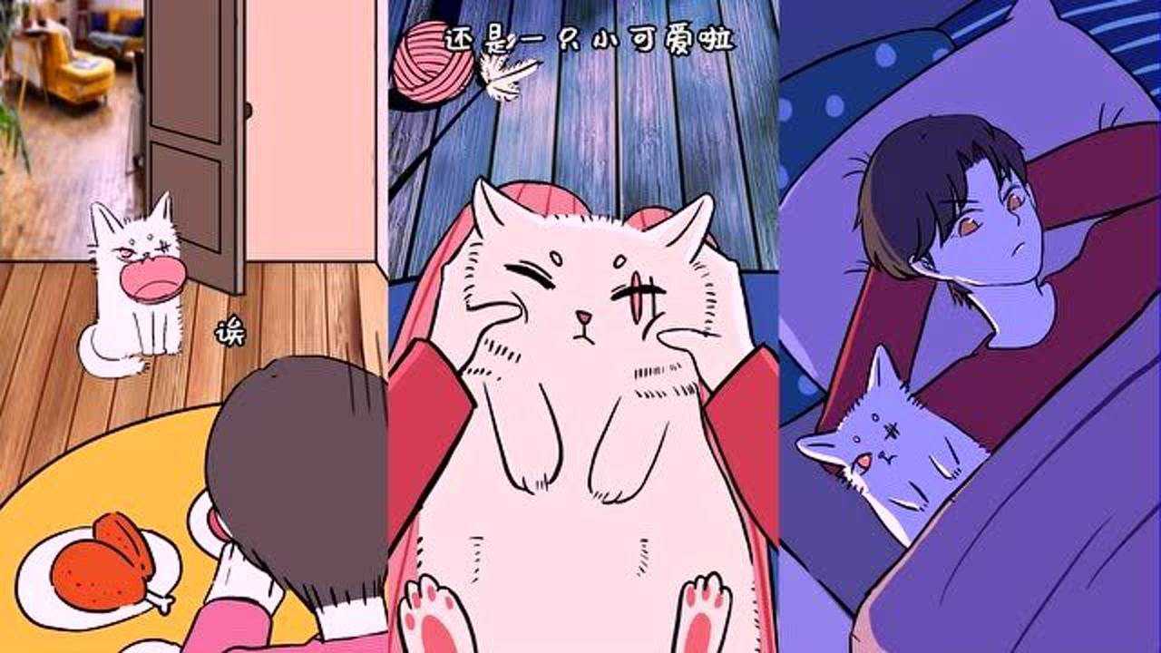 都市妖怪生存指南猫孩子也会保护人类只要人类好好善待它