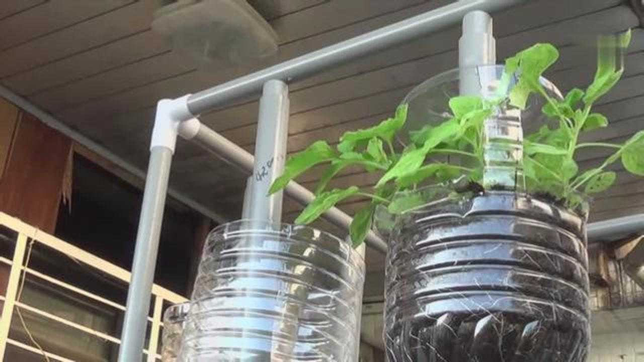 简易超大自制立体种植架,让你的种植更美好!
