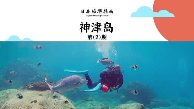 神津岛 第2期