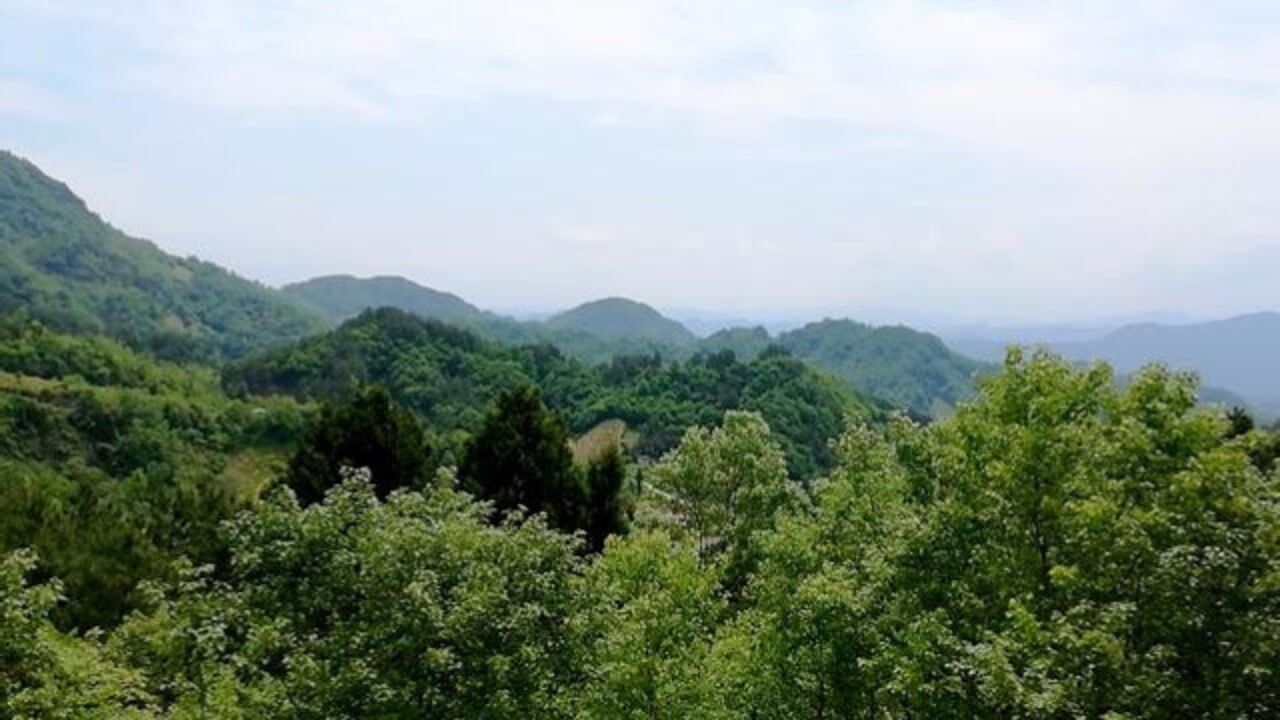 乾卦乾山巽向右水倒左水出乙辰前方峨眉案地理风水寻龙点穴
