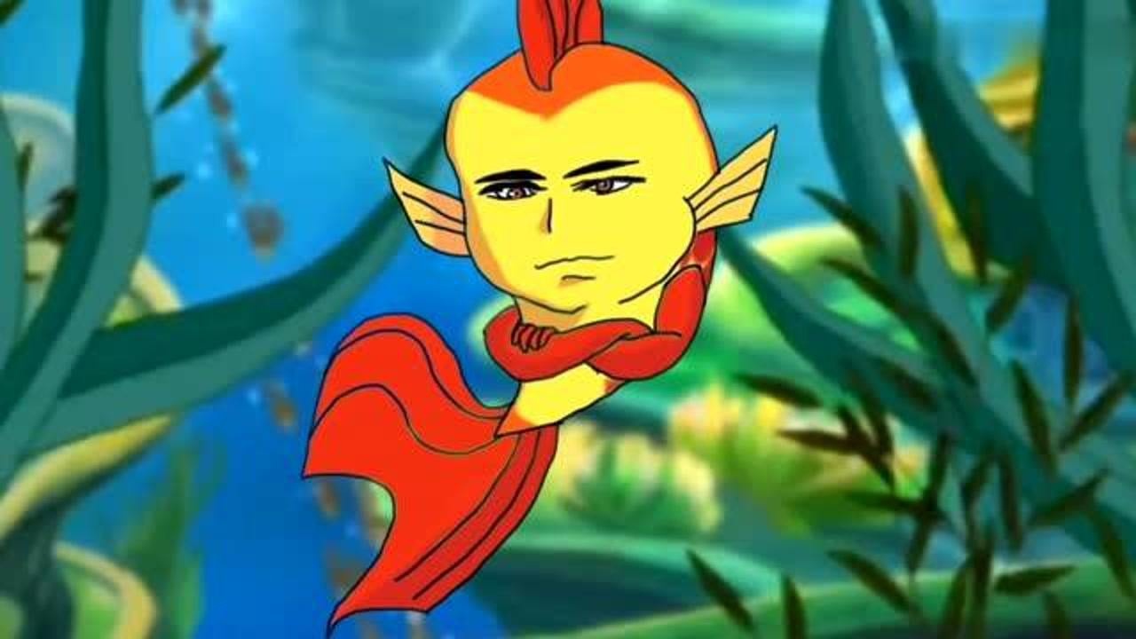 区区双面龟能有什么作用