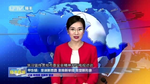 甲东镇:重谋新思路 重推新举措 重塑新形象