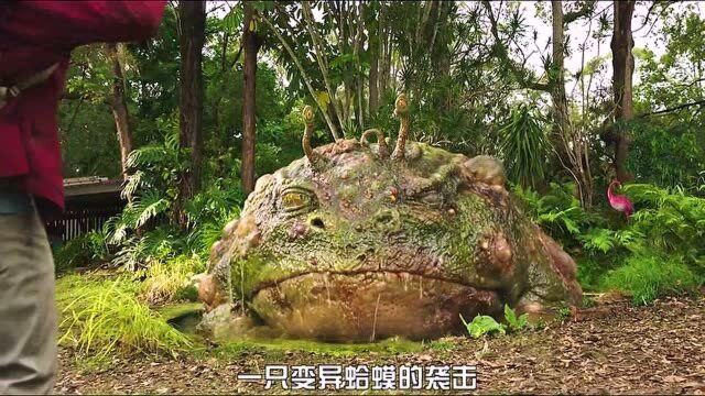 爱与怪物1:2020年最新末日灾难电影 青春版《我是传奇》