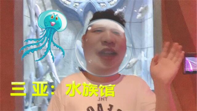 入梦vlog:我来到了三亚超大的水族馆,里面的鱼都长得好奇怪呀