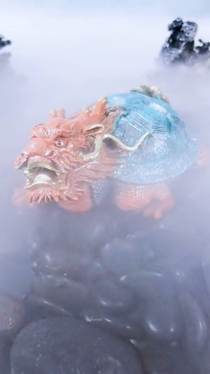 龙龟,传说是生活在海里的神龟。寓意长寿,主吉祥招财。_腾讯视频