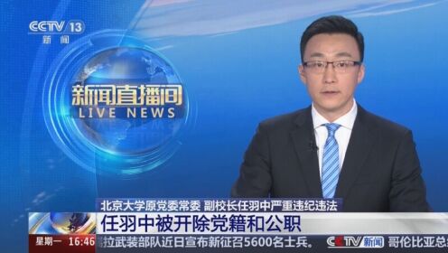 北京大学原党委常委副校长任羽中严重违纪违法任羽中被开除党籍和公职_高清1080P在线观看平台_腾讯视频