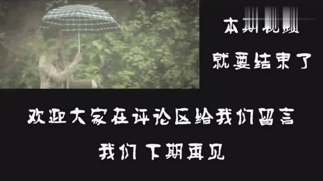 减压爱情片《回到爱开始的地方》刘诗诗与周渝民七日寻爱之旅