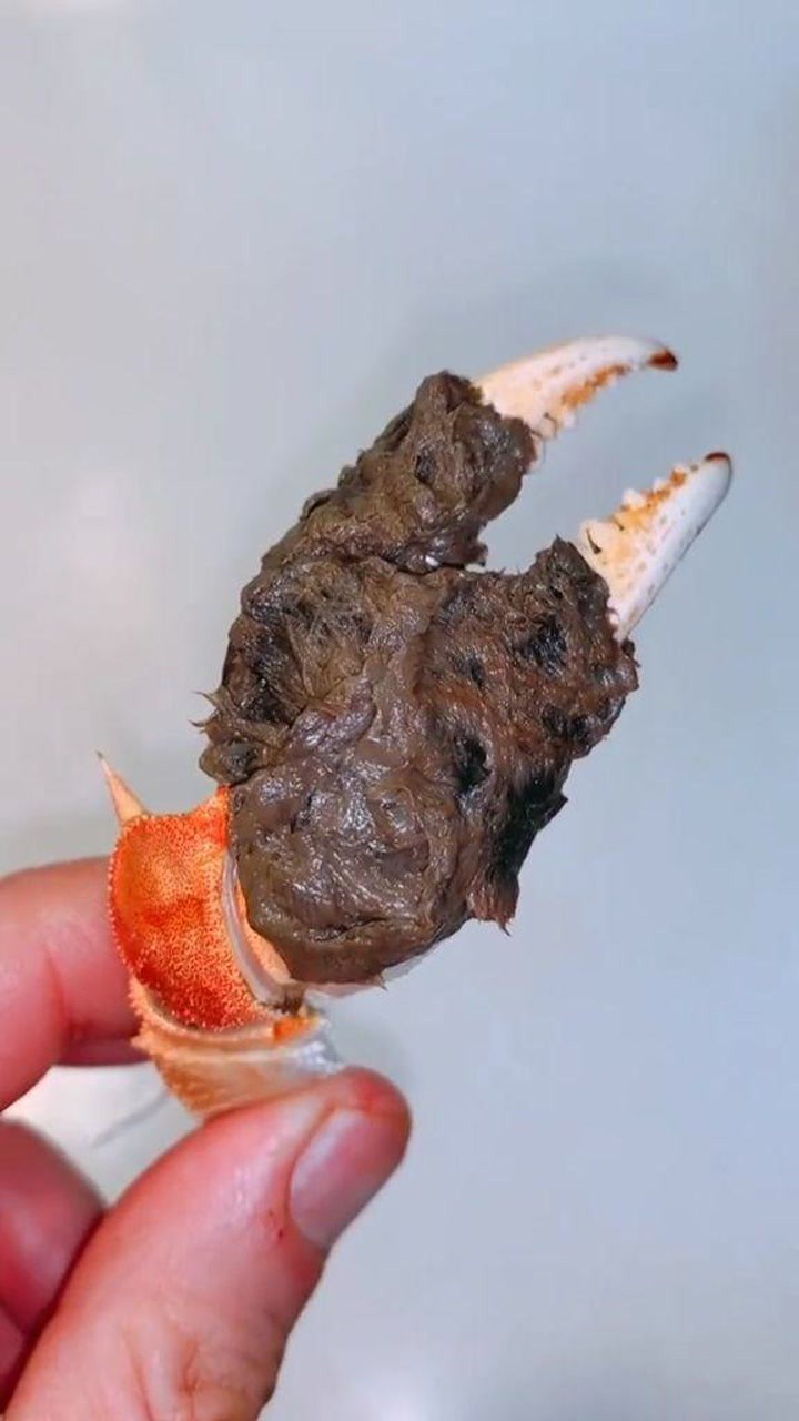 螃蟹的蟹钳,你知道怎么吃吗?_腾讯视频