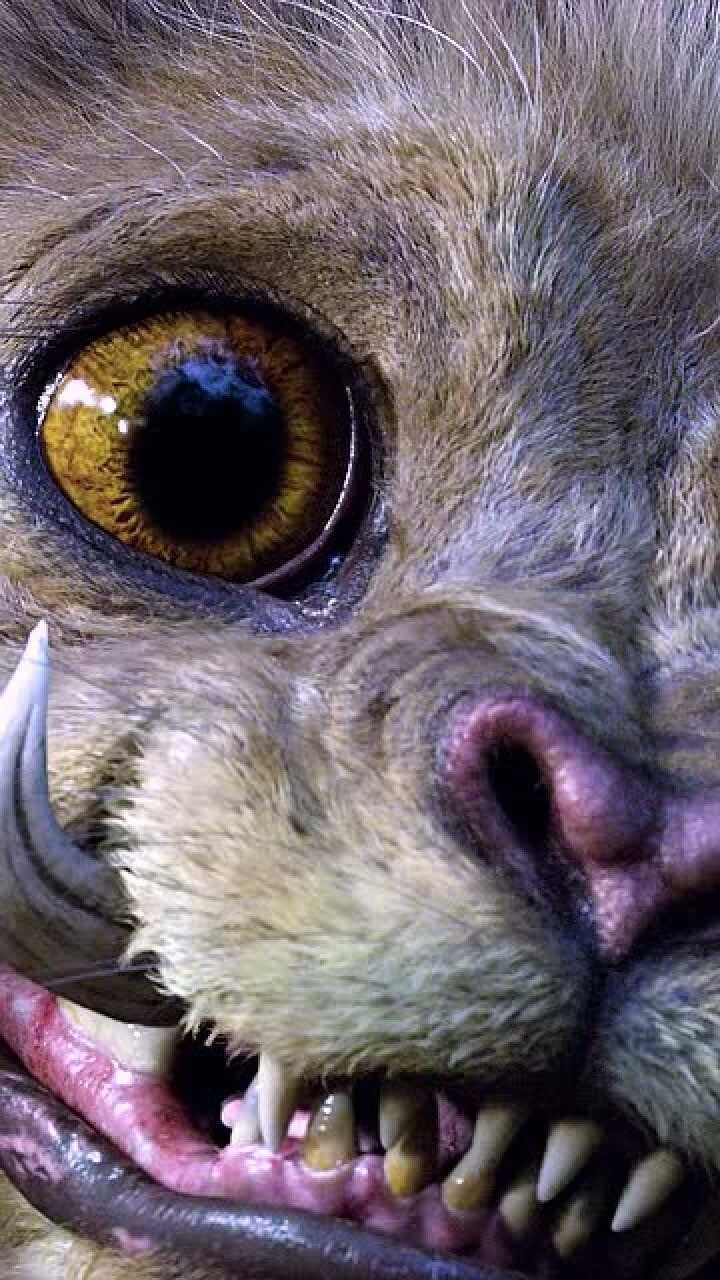 古四大瑞兽驺吾四大神兽中最善良有爱的