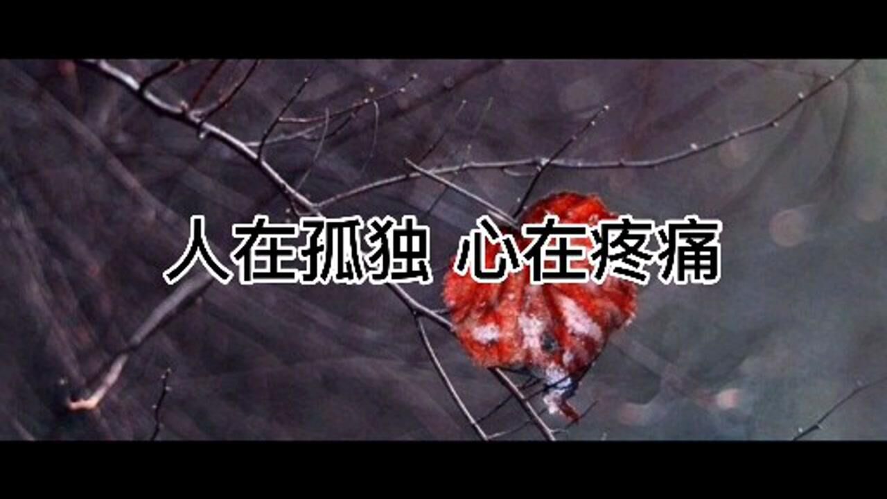 孤独是寂寞在狂欢,心痛则是依恋中想念,也是不能在一起的愁绪_高清1080P在线观看平台_腾讯视频