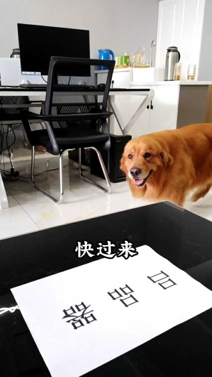 这家伙变得狡猾了,这第三个字是什么意思呢?