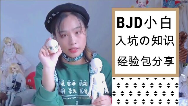 经验包分享,BJD的入坑小知识