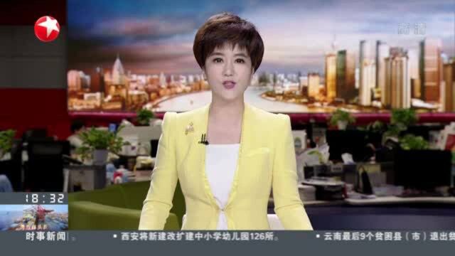 上海:“两张网”赋能 推动超大城市治理变革