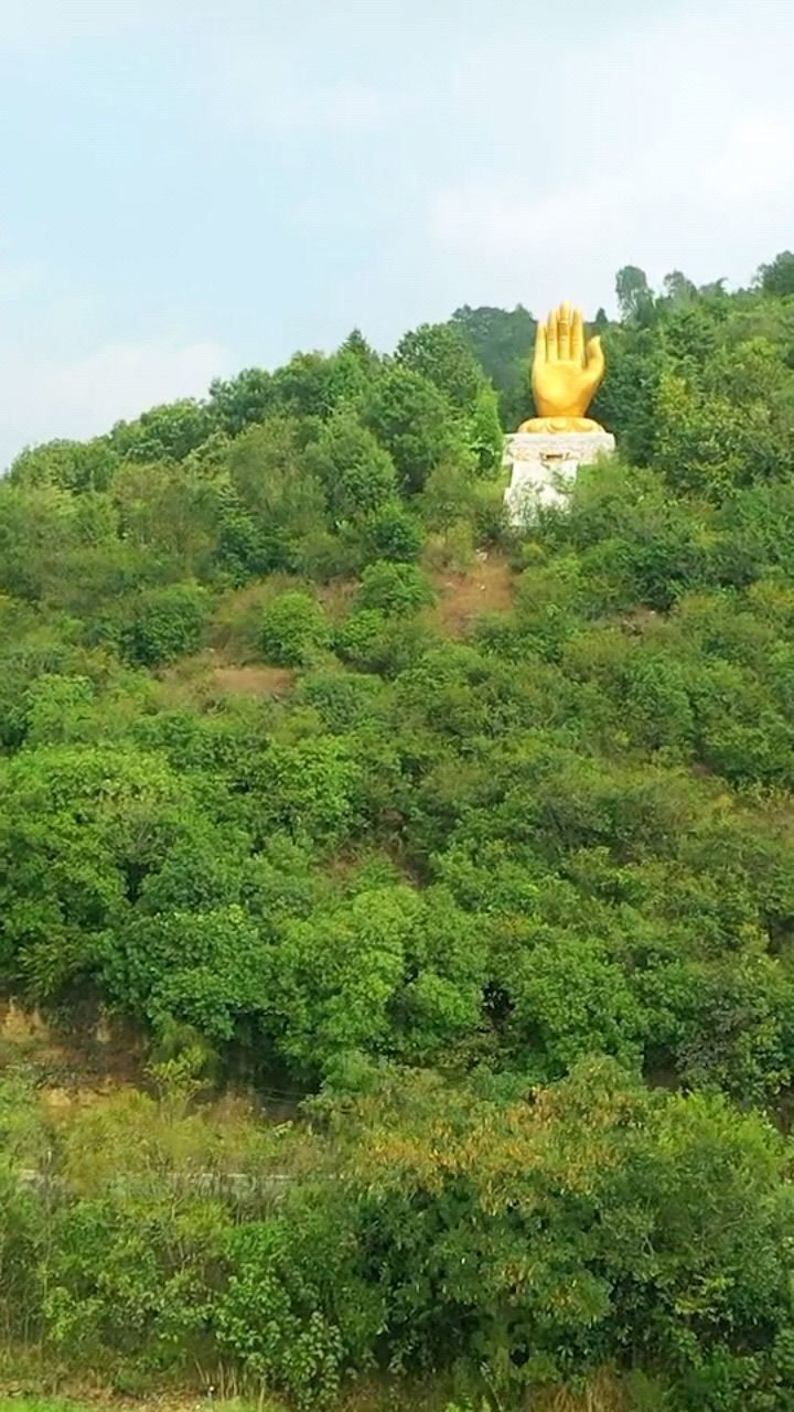 云南一大山上的佛手