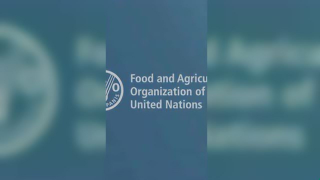 高清1080P在线观看平台_腾讯视频