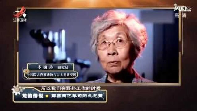 同一地点 居然发现9具肯氏兽幼年个体 它们是怎么死的?