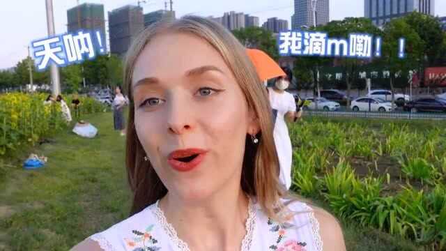 在合肥看到满满的乌克兰国花,别提多高兴了