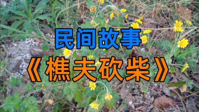 民间故事《樵夫砍柴》樵夫生活过得比较清贫,以砍柴为生