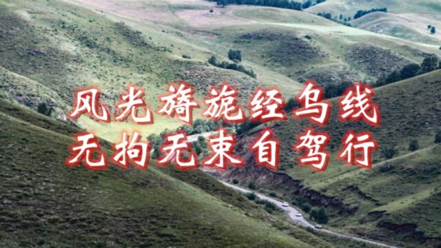 山峦起伏多变,草原森林交替,风光旖旎经乌线