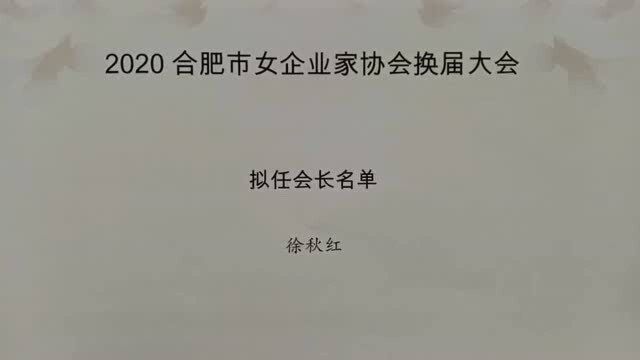 合肥市女企业家协会新会长名单来了