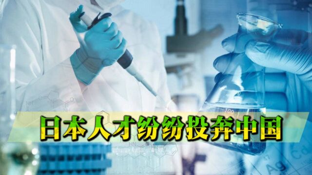 日媒敲响警钟:日本人才纷纷“投奔”中国,待遇和科研环境好太多