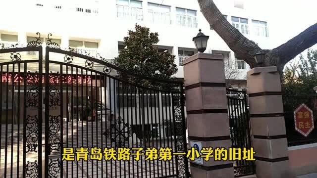 青岛湖南路,老舍雕像法桐下,榉园学校薪火传,葡萄美酒飘香百年