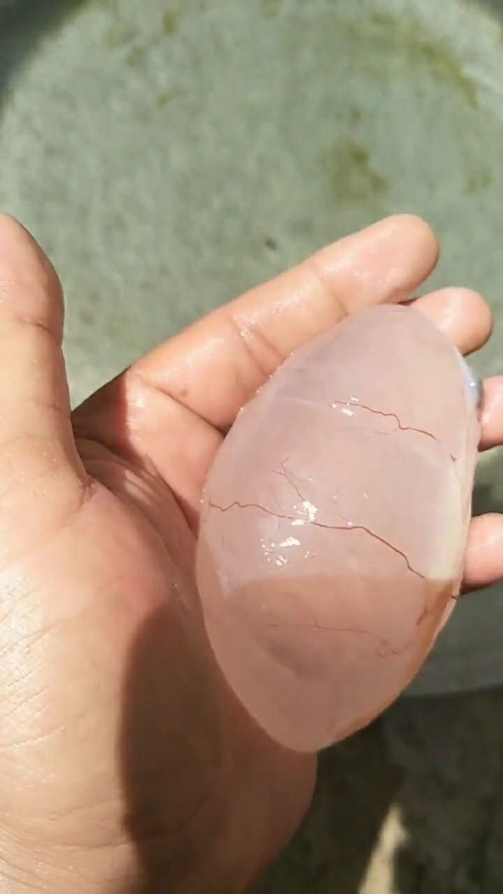 微友们,杀了只母鸡,鸡肚子里取出了这么一个水包,又没有漏,这是什么