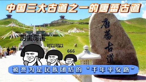 十年前，专家在四川境内发现了大量石刻，从此揭开了唐蕃古道之谜