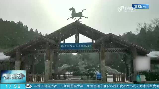 山东多地迎来降雪 海上阵风达10级 烟台至大连等省际航线停航