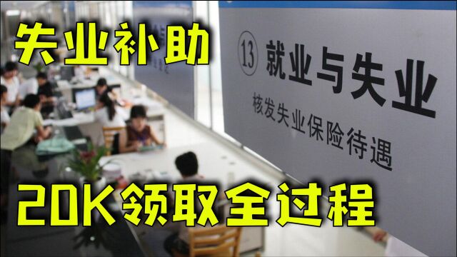 谁都能领万元失业补助金?领取流程详情图解!别再去排队了!