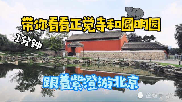 跟着紫澄游北京看看北京的正觉寺和圆明园