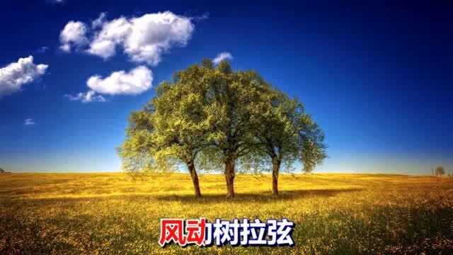 一首经典情歌《你家在哪里》