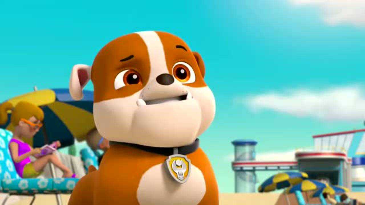 汪汪队立大功第六季:天天和毛毛真是一对冤家