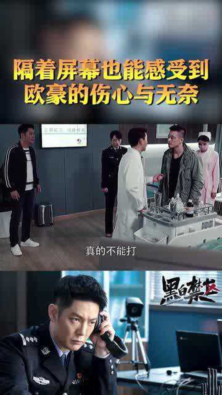 黑白禁区卧底多年的行动到收网的时候却出现意外